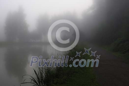 Pond and a road in the fog Pond and a road in the fog