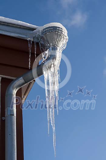 Big icicles hanging from the rainwater pipe Big icicles hanging from the rainwater pipe