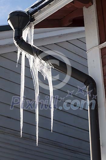 Spring icicles hanging from rainspout Spring icicles hanging from rainspout