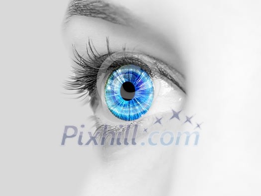 Picture of a female human eye in colour Picture of a female human eye in colour