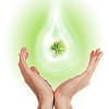 Large drops of green tree inside. Symbol of environmental protection