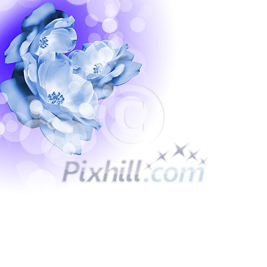 picture of color flowers against white background picture of color flowers against white background