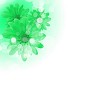 picture of color flowers against white background