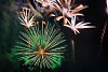 Fireworks in the night sky