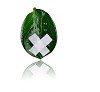 Wounded leaves of the tree - a symbol of environmental protection