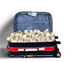 Picture of red travel suitcase full of banknotes