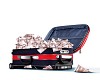 Picture of red travel suitcase full of banknotes