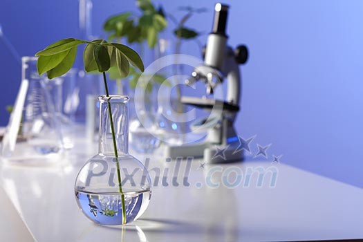 Green plants and scientific equipment in biology laborotary Green plants and scientific equipment in biology laborotary
