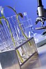 Green plants and scientific equipment in biology laborotary