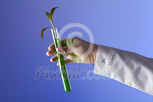 Green plants and scientific equipment in biology laborotary Green plants and scientific equipment in biology laborotary