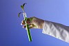 Green plants and scientific equipment in biology laborotary