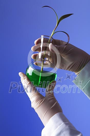 Green plants and scientific equipment in biology laborotary Green plants and scientific equipment in biology laborotary