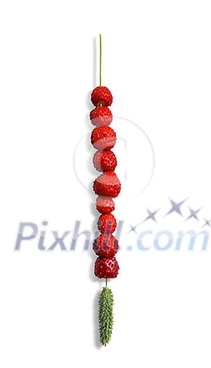 Wild Strawberries on a straw Wild Strawberries on a straw