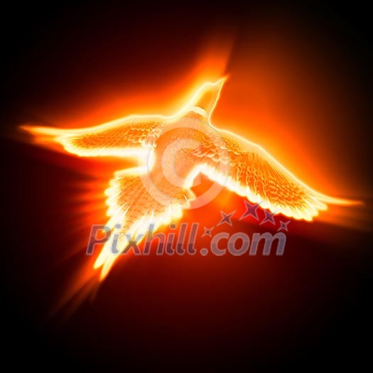 light and fire silhouette of a bird against dark background light and fire silhouette of a bird against dark background