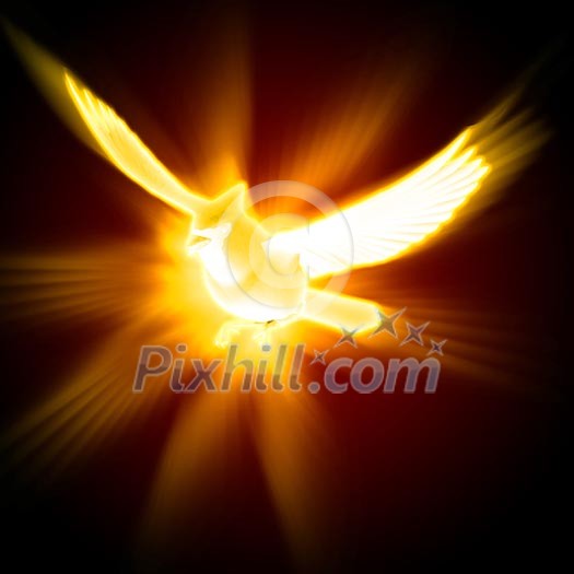light and fire silhouette of a bird against dark background light and fire silhouette of a bird against dark background