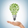 green bulb as symbol of sustainable energy and nature protection