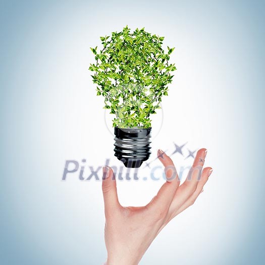 green bulb as symbol of sustainable energy and nature protection green bulb as symbol of sustainable energy and nature protection
