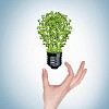 green bulb as symbol of sustainable energy and nature protection