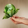 human hands holding green earth with a growing plant