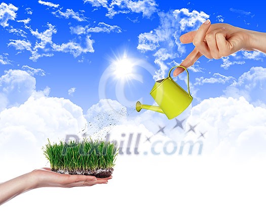 Hand with a small watering can watering green grass Hand with a small watering can watering green grass