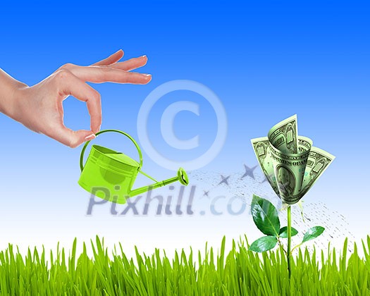 Hand with a small watering can watering green grass and shrubs of dollar bills Hand with a small watering can watering green grass and shrubs of dollar bills