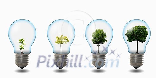 four light bulbs with nature simbols inside four light bulbs with nature simbols inside