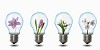 four light bulbs with nature simbols inside