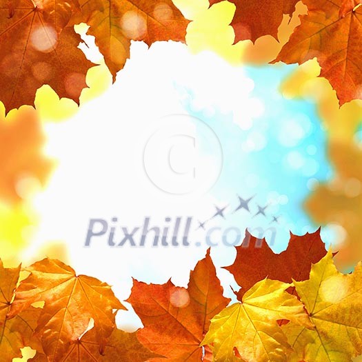 Red and yellow leaves against a bright blue sky. Bokeh effect. Red and yellow leaves against a bright blue sky. Bokeh effect.