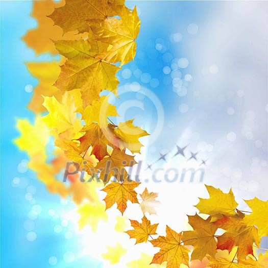 Red and yellow leaves against a bright blue sky. Bokeh effect. Red and yellow leaves against a bright blue sky. Bokeh effect.