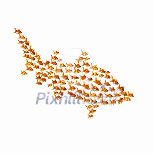 many gold fish together as symbol of teamwork many gold fish together as symbol of teamwork