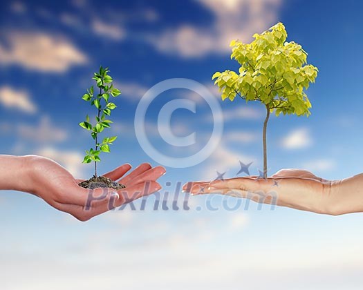 Collage with human hand holding a green plant Collage with human hand holding a green plant