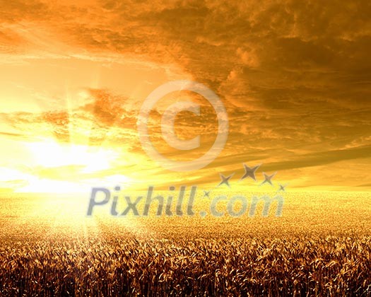 Image of a rural landscape under shining sunlight Image of a rural landscape under shining sunlight
