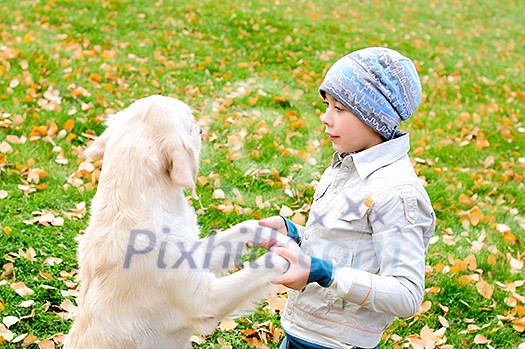 Boy playing in autumn park with a golden retriever. Boy playing in autumn park with a golden retriever.