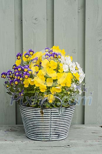 Metallic vase with flowers outdoors