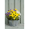 Metallic vase with flowers outdoors