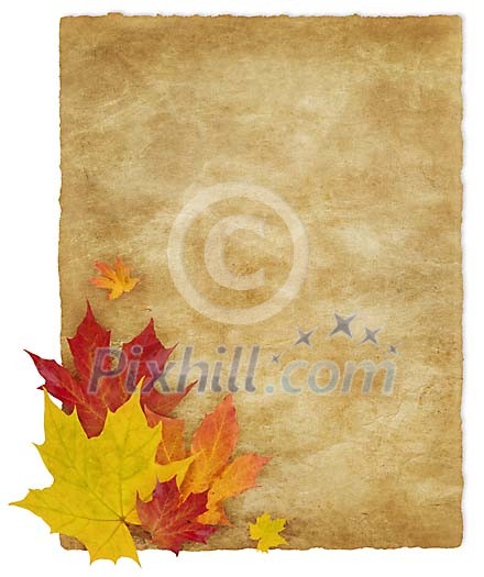 Old paper with maple leaf decoration Old paper with maple leaf decoration