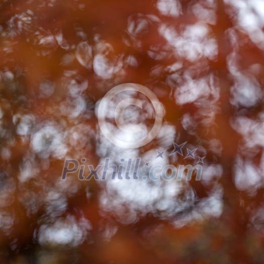 Autumn bokeh background Autumn bokeh background