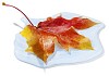 Maple leaf on a waterdrop