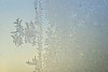 Frost pattern on the window