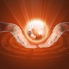Hand and Earth. Symbol of environmental protection