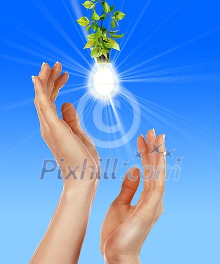 Arms and light bulbs. Symbol of environmental protection. Collage. Arms and light bulbs. Symbol of environmental protection. Collage.