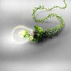 Arms and light bulbs. Symbol of environmental protection. Collage.