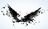 Abstract image of black wings against light background