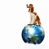 Dog with the Earth planet. Funny collage. Elements of this image are furnished by NASA
