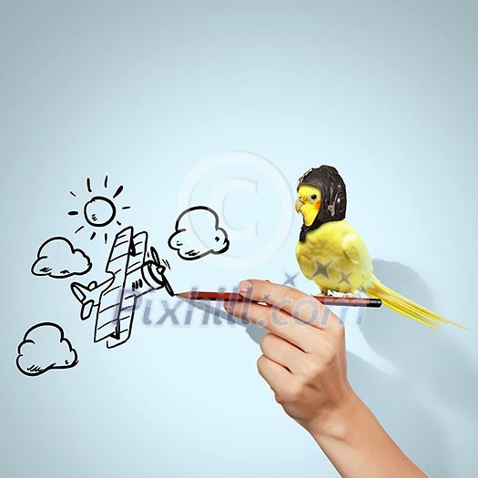 Image of funny parrot in funny hat Image of funny parrot in funny hat