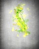 Background image with colorful splashes and drops