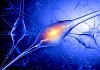 Illustration of a nerve cell on a colored background with light effects