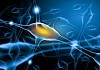 Illustration of a nerve cell on a colored background with light effects