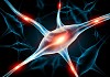 Illustration of a nerve cell on a colored background with light effects