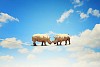 Image of two rhino struggling on rope high in sky